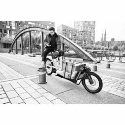 Bergamont E-Cargoville LJ Expert