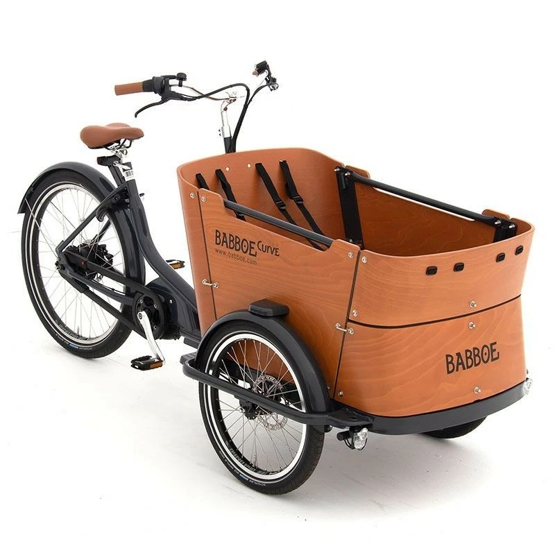 Babboe Curve Mountain