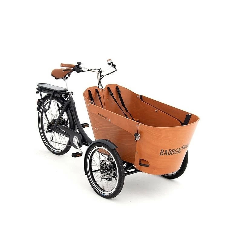 Babboe Flow-e – Image 2